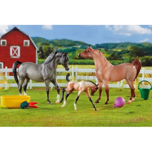 A Champion is Born - 3 Horse and Accessories Set