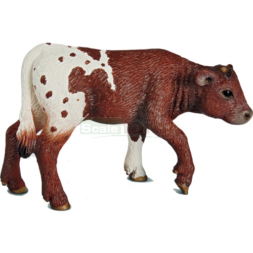 Texas Longhorn Calf