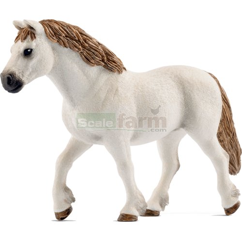 Welsh Pony Mare