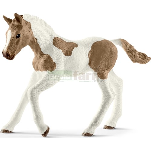 Paint horse Foal