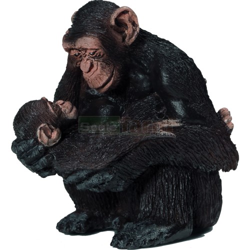 Chimpanzee Female with Baby