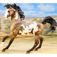 Preview Grullo Pinto - Spirit of the Horse