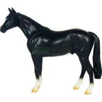 Preview Black Thoroughbred