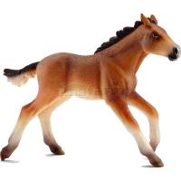 Preview Mustang Foal