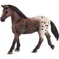 Preview Appaloosa Mare