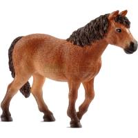 Preview Dartmoor Pony Mare