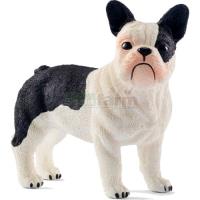Preview French Bulldog