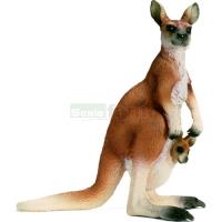 Preview Kangaroo