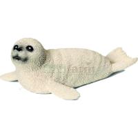 Preview Seal Cub