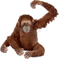 Preview Orangutan, Female
