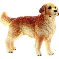Preview Golden Retriever Dog