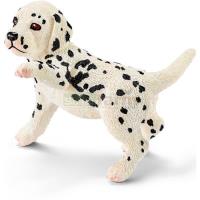 Preview Dalmatian Puppy