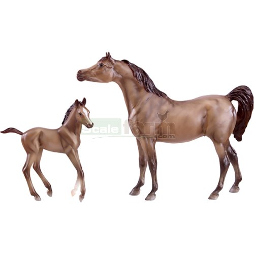 Arabian Horse and Foal