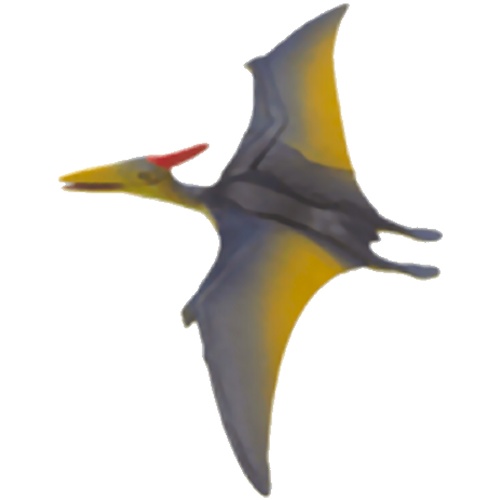 4D Pteranodon Puzzle