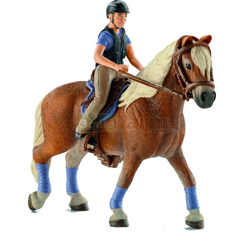 Recreational Rider and Horse