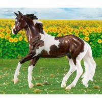 Preview Horse of the Year 2016 - Harper - Tobiano Pinto