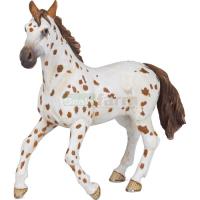 Preview Appaloosa Mare, Brown