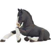 Preview Black Shire Foal