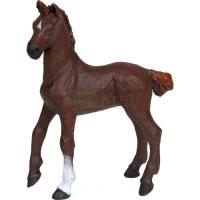 Preview Alezan English Thoroughbred Foal, Dark