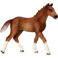 Preview Hanoverian Foal
