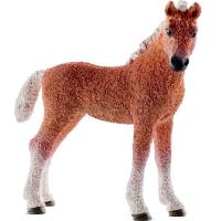 Preview Bashkir Curly Foal