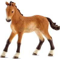Preview Tennessee Walker Foal