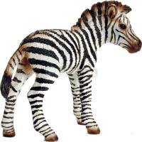 Preview Zebra Foal