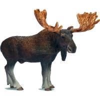 Preview Moose Bull