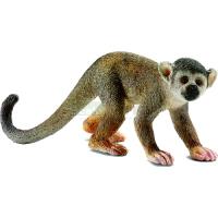 Preview Squirrel Monkey