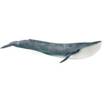Preview Blue Whale