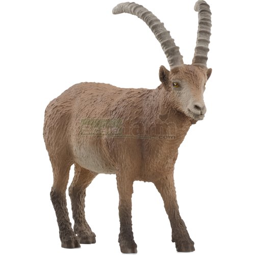 Capricorn Goat