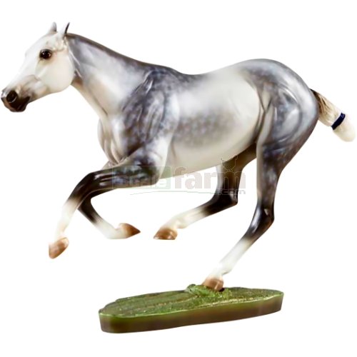 Santiago Polo Pony