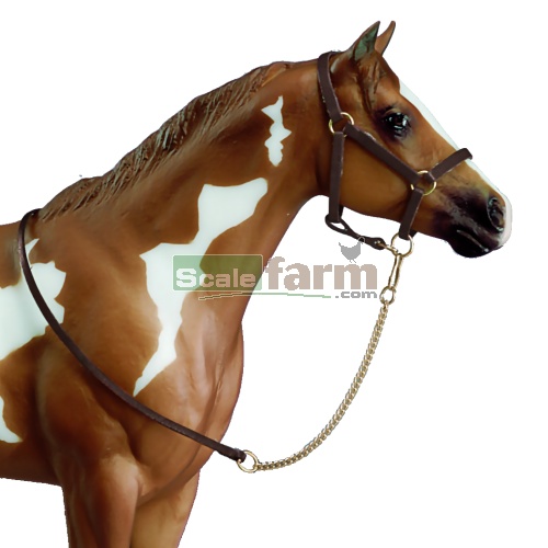 Halter with Lead Chain
