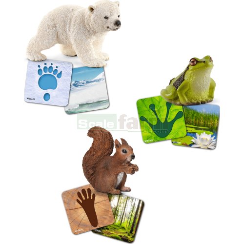 3 Animal Wild Life Set with Flash Cards