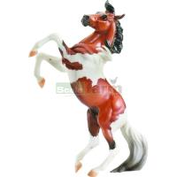 Preview Red Sorrel Appaloosa Mustang - Where in the World is Pegasus?