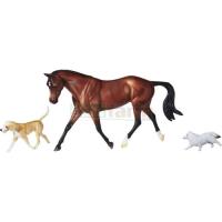 Preview Protocol - Horse and Dogs Set