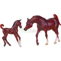 Preview Chestnut Arabian Horse and Foal