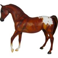 Preview Chestnut Appaloosa