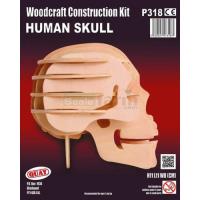 Preview Human Skull Woodcraft Construction Kit