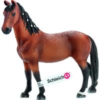 Preview Trakehner Mare