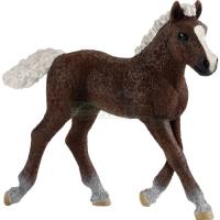 Preview Black Forest Foal