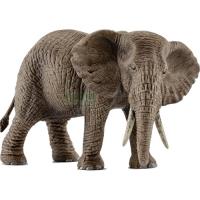 Preview African Elephant, Female