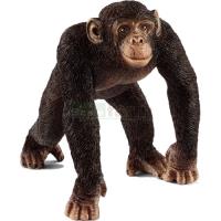 Preview Chimpanzee, Male