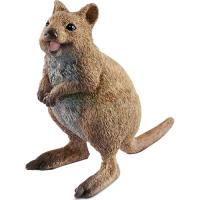 Preview Quokka