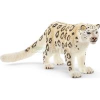Preview Snow Leopard