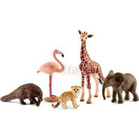 Preview Assorted Wild Life Animals