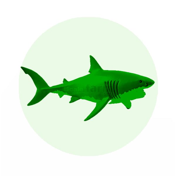 Aquatic Mammals and Fish