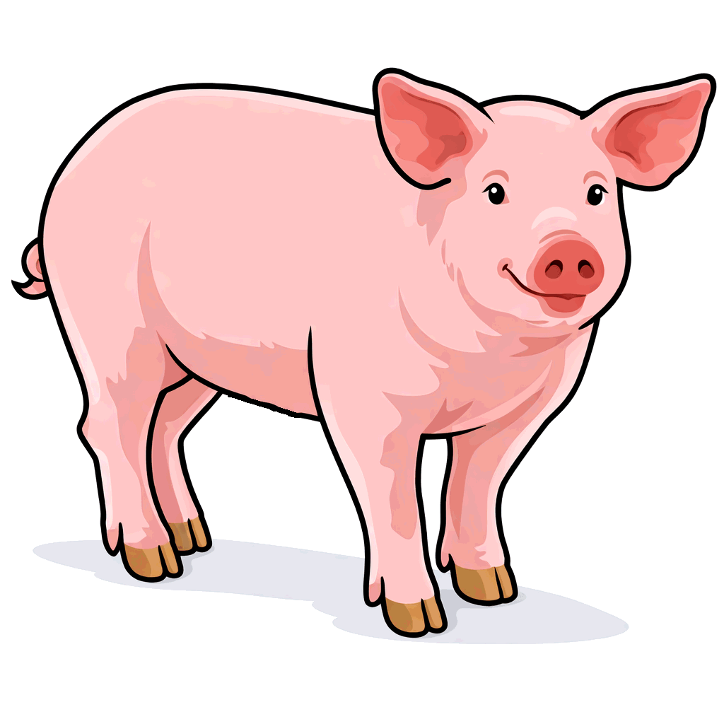 Pigs, sheep, goats, alpaca and donkeys