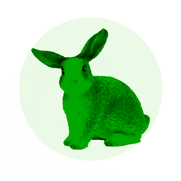 Rabbits and small mammals