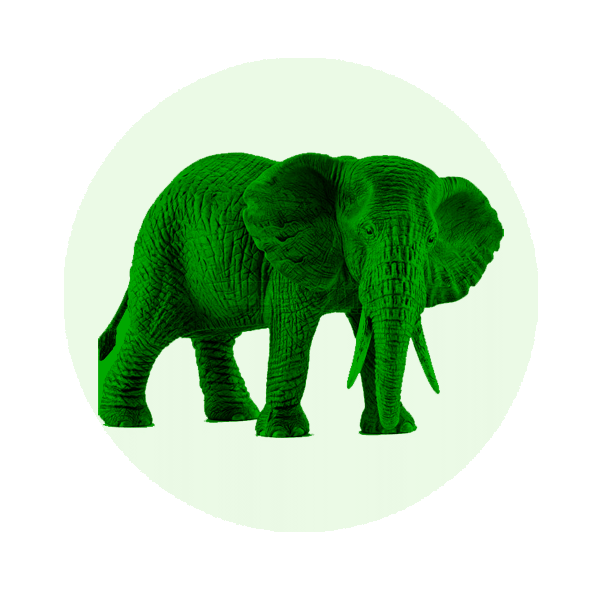 Wild life, African & European